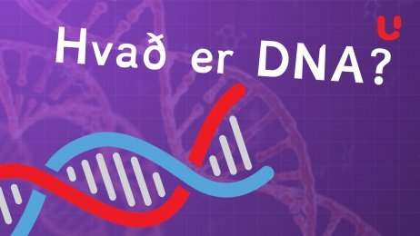 Hvað er DNA?